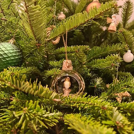 Fruehstueckspension Klein Und Fein Penzion 4*