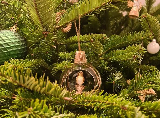 Fruehstueckspension Klein Und Fein Penzion 4*